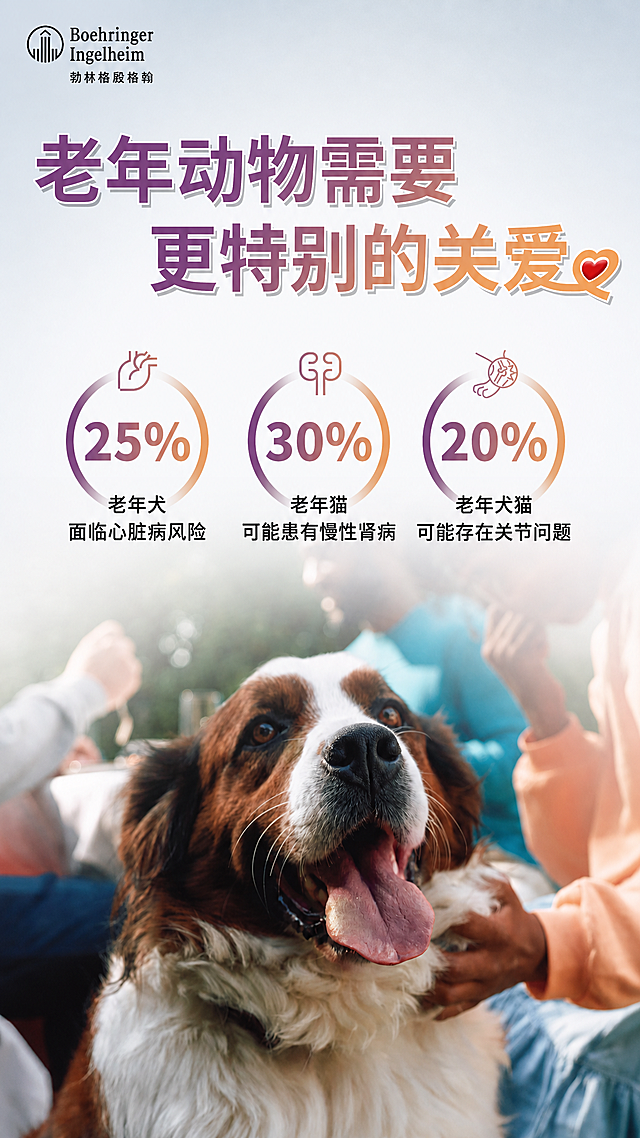 将图片尺寸修改为宽72像素，高152像素，保留原图所有内容、文字、图案和品牌logo，不改变内容，只调整尺寸