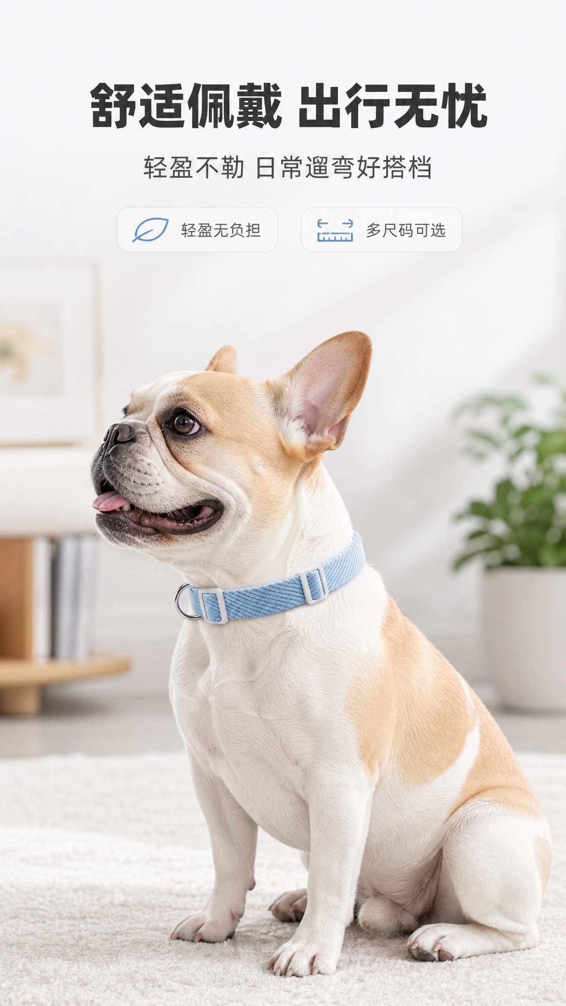 [商品] 使用【图1】浅蓝色宠物项圈；保留方形白色插扣、白色日… - 图片创意预览