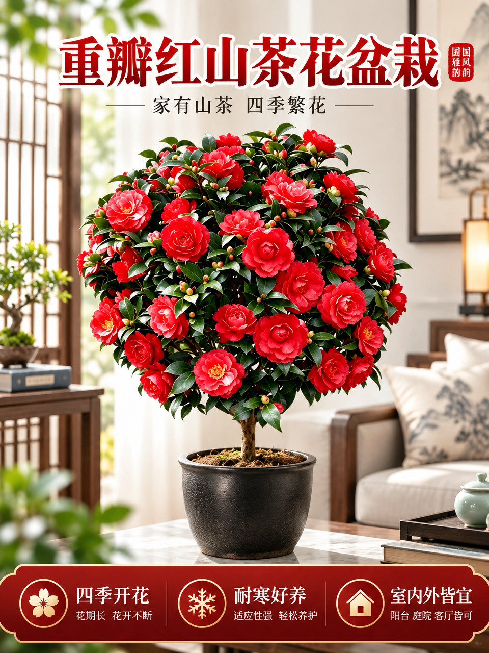 淘宝天猫电商主图，3:4竖版比例，画面主体是一盆盛开的红色山茶… - 图片创意预览