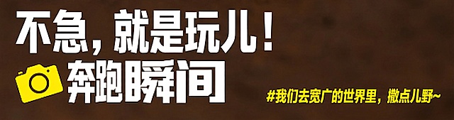 保留原图的深棕色背景、字体风格和相机图标，修改白色文字为“不急，就是玩儿！在成长的节奏里”，修改黄色文字为“我们去宽广的世界里，撒点儿野~”，保持原有排版布局不变