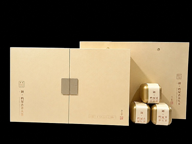 将图片整体改成参考图的浅香槟金色，保留所有原始文字内容和文字颜色不改变，保持产品轮廓和结构不变