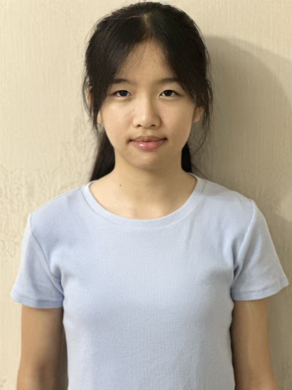 模板预览图