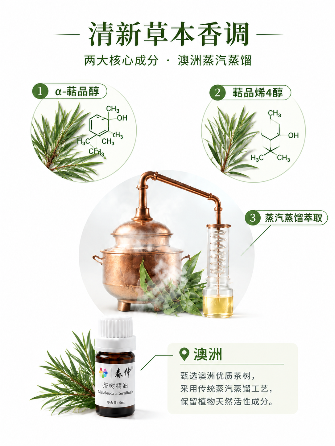 以图1这张茶树精油成分详情页为基础原地编辑：保持整图版式、背景… - 图片创意预览