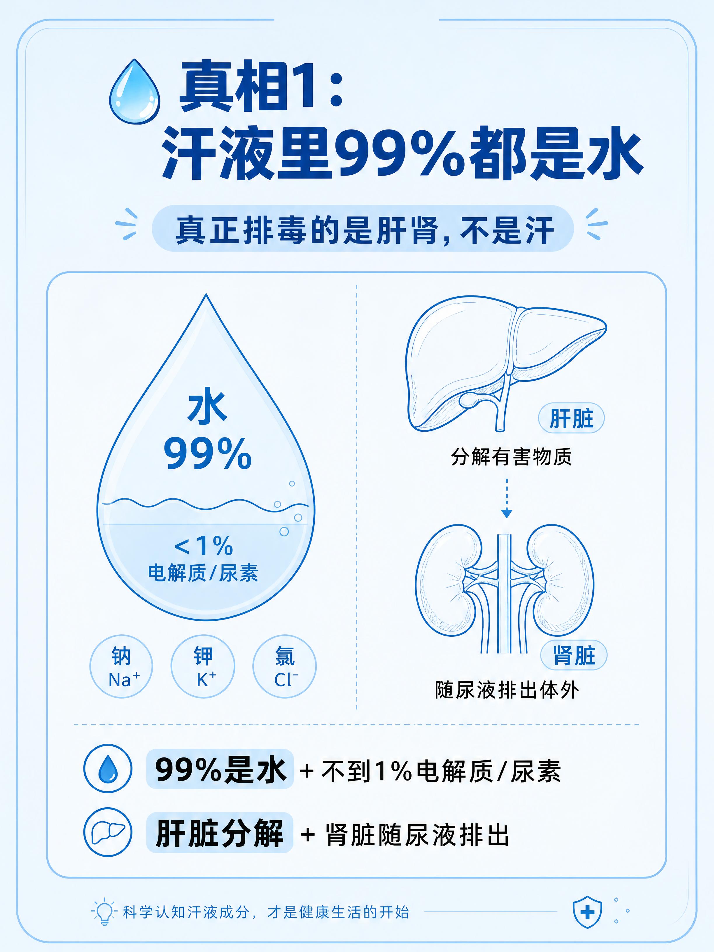 小红书系列笔记配图第2张，医疗蓝线稿插画风，统一风格，生活化科… - 图片创意预览