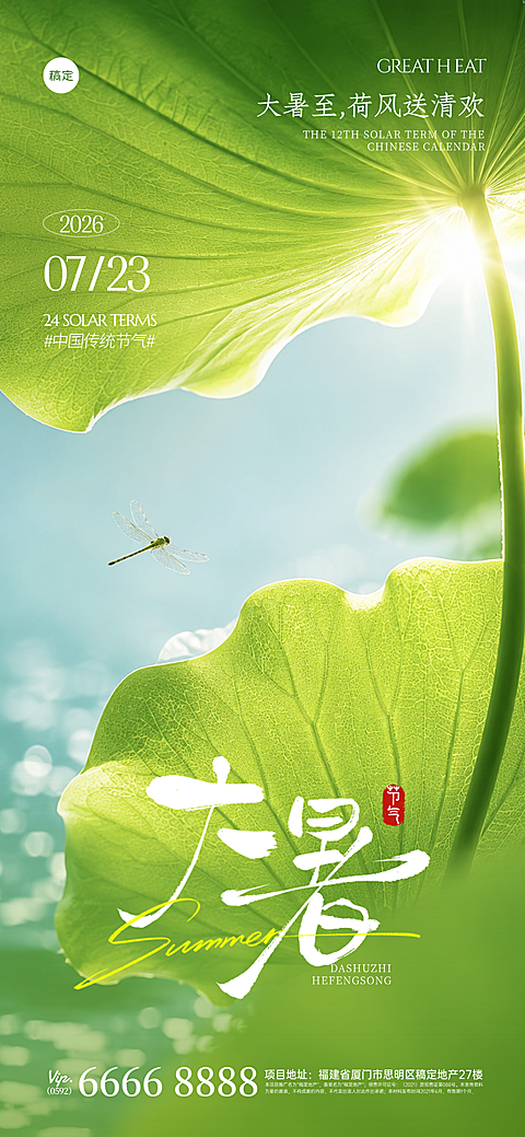 大暑节气祝福日签夏季清透实景感荷叶全屏海报