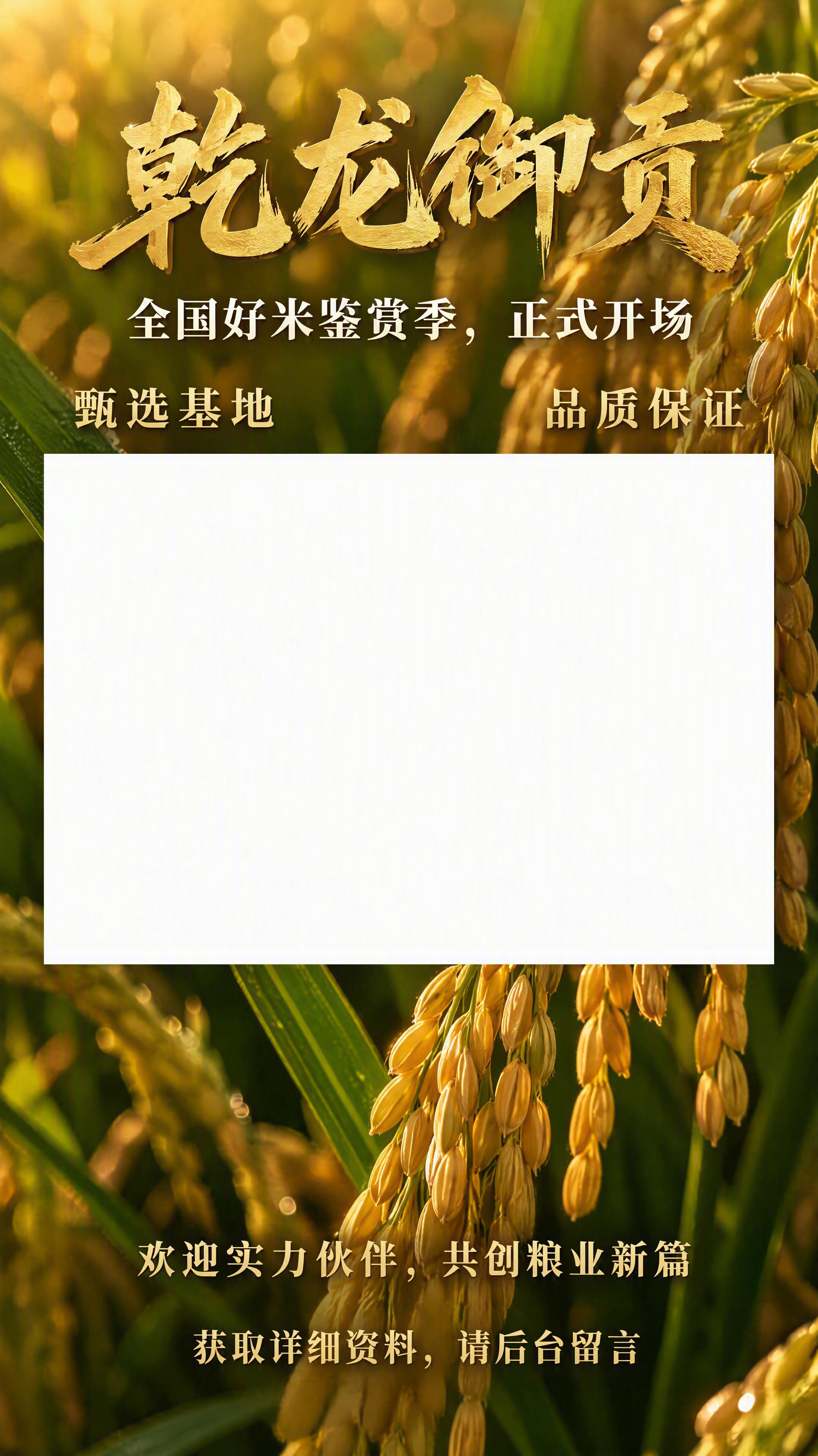 超写实摄影风格，9:16竖屏构图，1080x1920像素。画面… - 图片创意预览