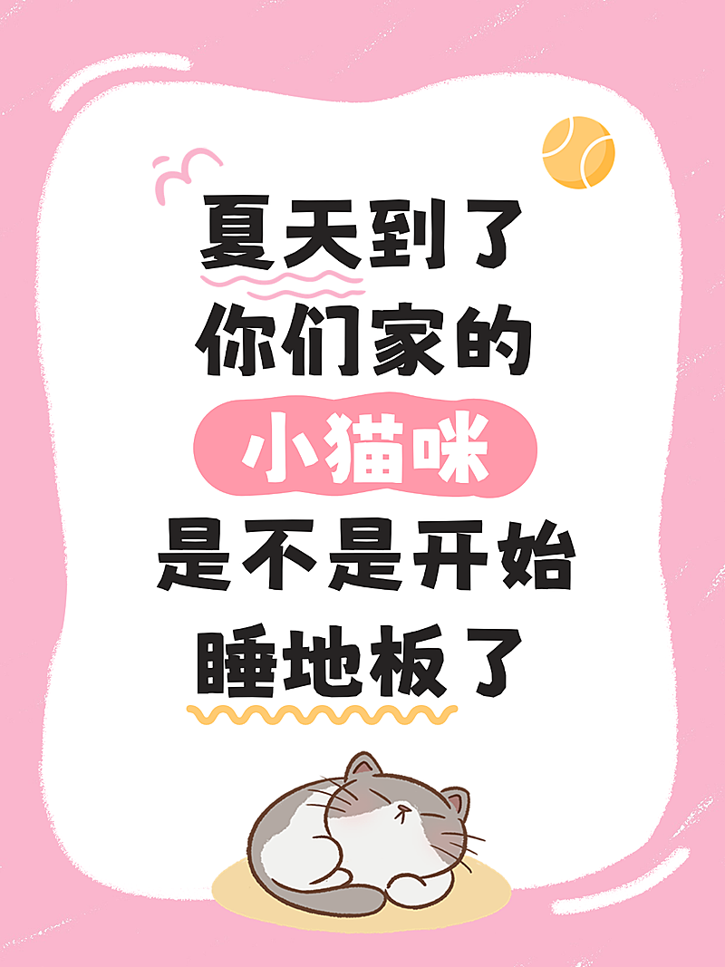 宠物知识科普大字小红书封面