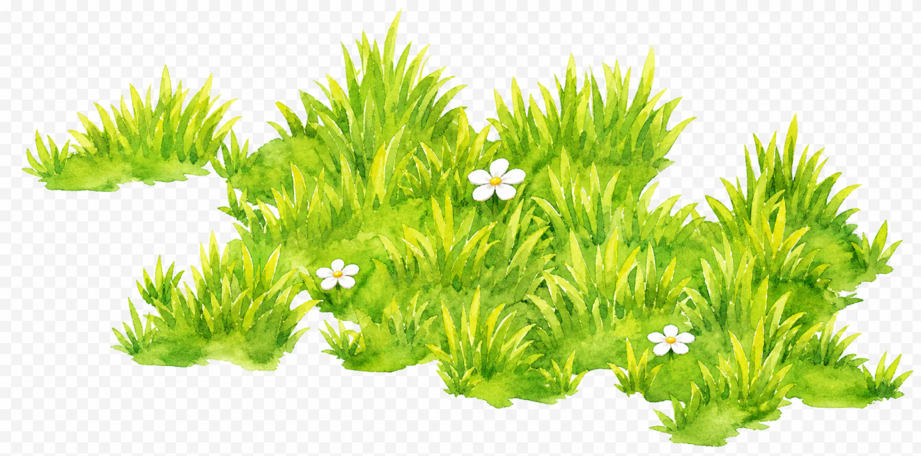 草地预览效果