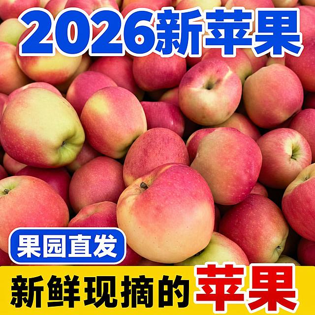 将这张原始苹果照片裁剪为正方形（1:1比例），不对苹果底图做任何美颜、修饰、调色处理，保持原始真实质感。然后添加文字：顶部蓝色粗体白边大字“2026新苹果”，左下角蓝色底白字圆角标签“果园直发”，底部黄底黑字“新鲜现摘的”+红色大字“苹果”，文字样式和位置参考之前的成品，底图保持原始真实感不变