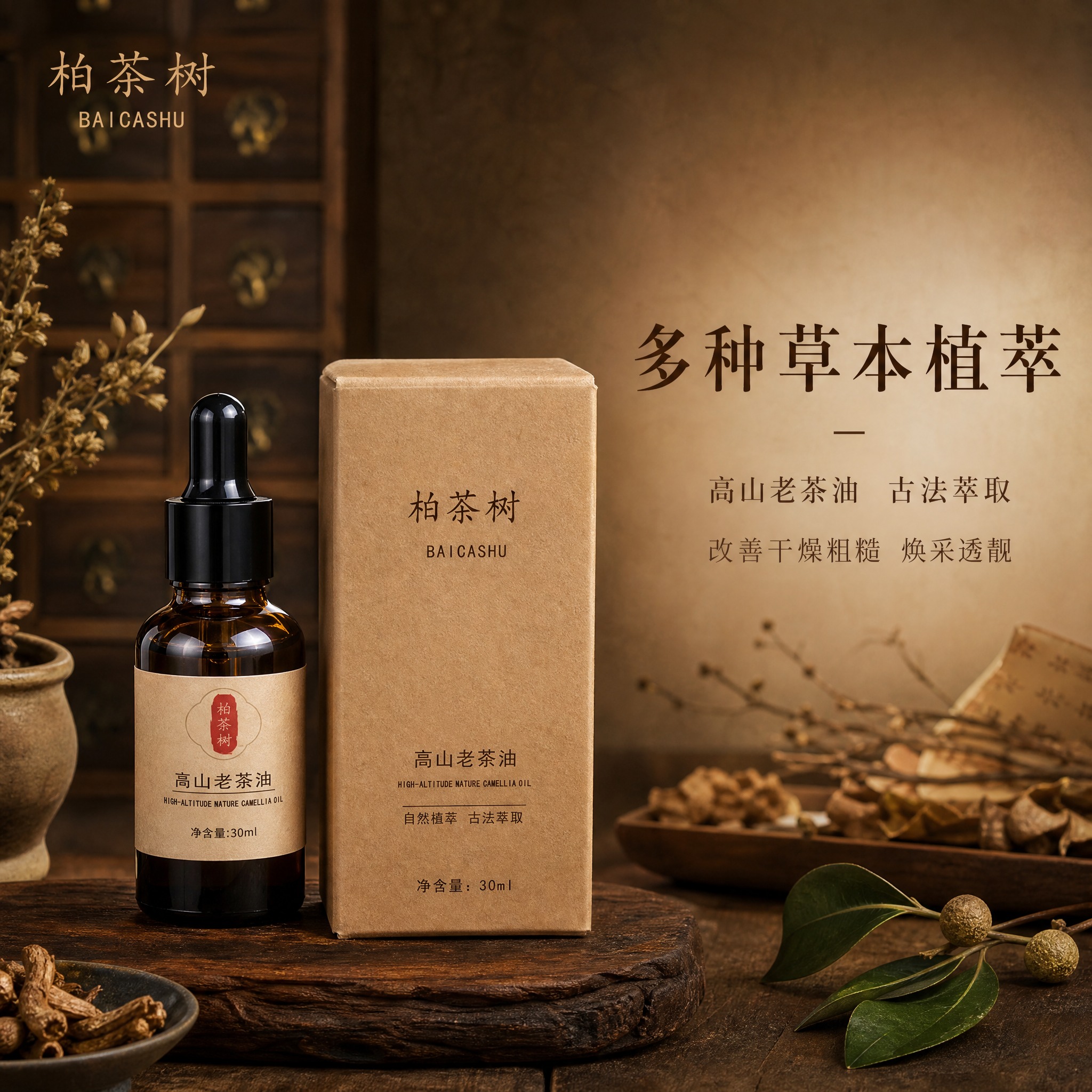 [主图-1] 品牌调性首图，展示柏茶树高山老茶油的草本植萃中药… - 图片创意预览