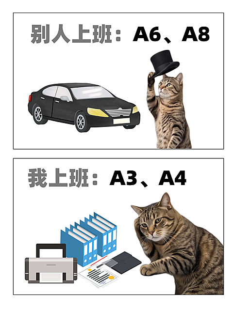 同龄人对比小红书封面配图对比图