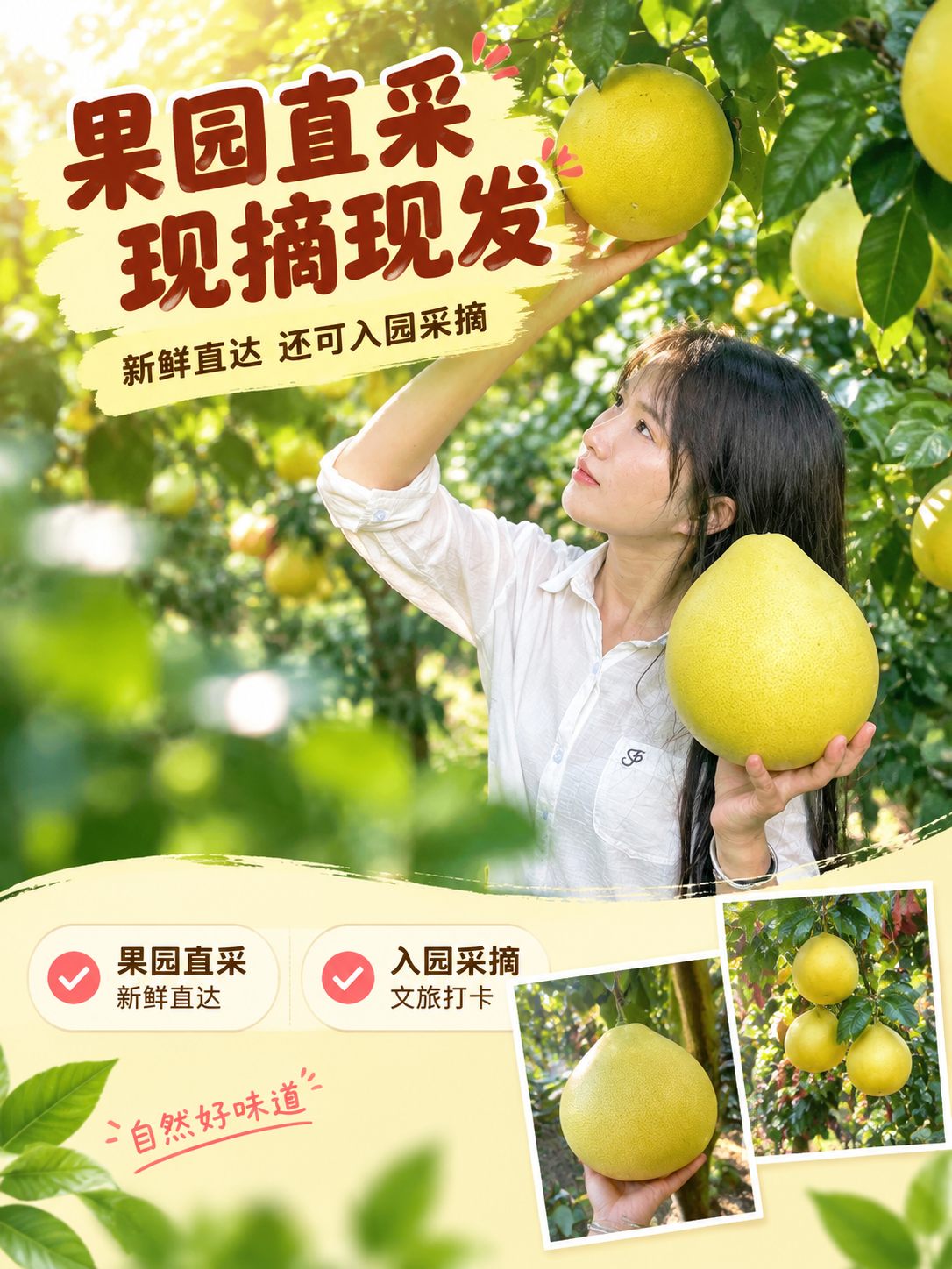 [商品] 使用【图5】果园采摘人物实拍、【图4】手托蜜柚实拍；… - 图片创意预览