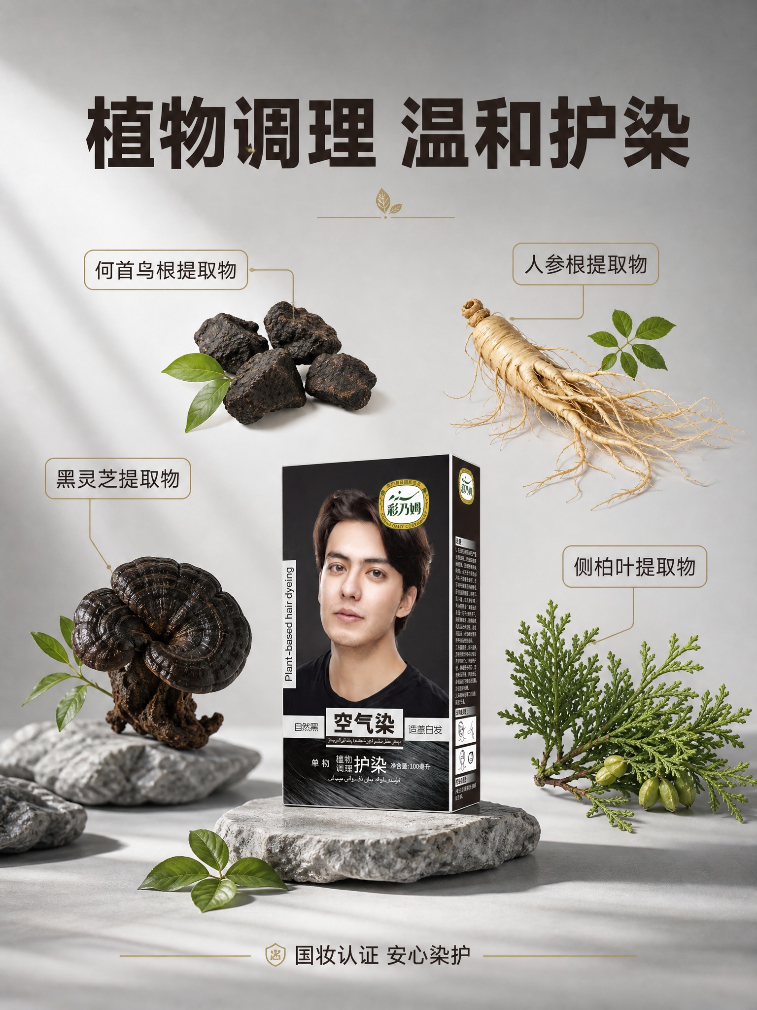 [主图-2] 核心成分植物调理，核心任务：展示空气染的4大植物… - 图片创意预览