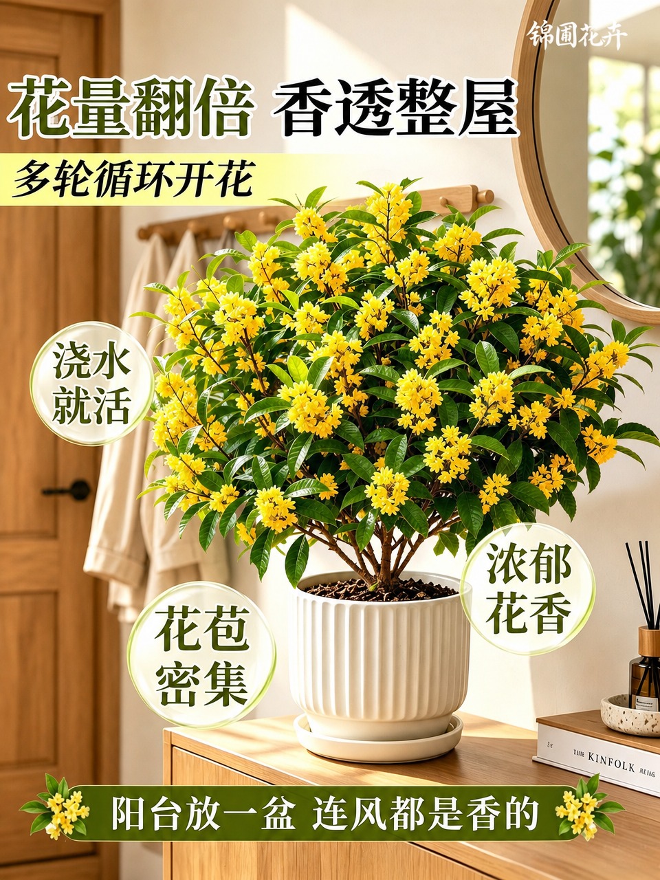 保持原图构图不变，主体桂花盆栽位置、花卉和花盆细节完全不变，画… - 图片创意预览