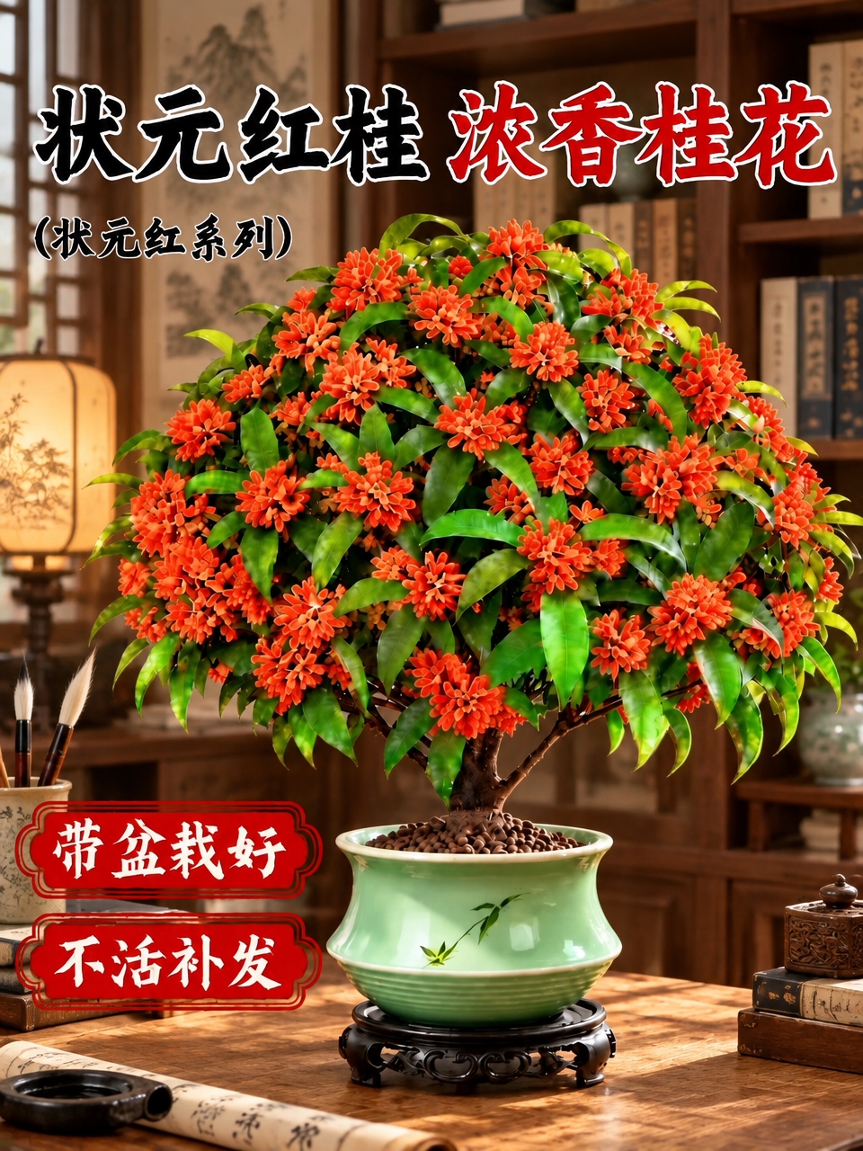 将背景替换为新中式书房场景，有木质书架、文房四宝和柔和暖光，桂… - 图片创意预览