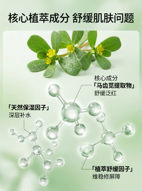 [主图 2] 马齿苋爽肤水核心成分功效解析图。[氛围风格] 专业科研护肤成分风，自然清新通透。[画质] 高精度3D渲染，专业美妆信息图质感，清晰干净，层次分明。[元素] 全屏展示成分解析，顶部放置新鲜预览效果