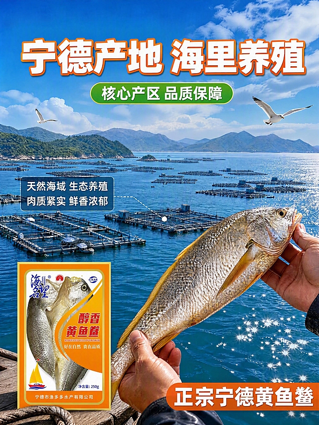将图中左下角的黄鱼鲞包装袋替换为第二张图的包装样式：橙黄色竖版长方形包装，顶部蓝色书法体'海名旺'品牌字，中间红色大字'醇香黄鱼鲞'，下方英文'MARINATED YELLOW CROAKER'与'好在自然 贵在品质'，左下角有黄帆船图案，底部橙色横条写'宁德市渔多多水产有限公司'，净含量250g，包装袋整体为橙黄渐变+金色边框的竖长造型。保持包装袋的位置、大小、透视角度（略微倾斜立在木板上）、光影与原图一致，与海洋养殖场景自然融合。画面其余元素（双手持大黄鱼、渔排海景、蓝天白云、海鸥、所有文字标题、引线说明、底部'正宗宁德黄鱼鲞'标签等）全部保持不变，只替换包装袋外观。包装袋上的文字清晰可辨，品牌字形、颜色、排版与第二张图完全一致，杜绝变形和色差。