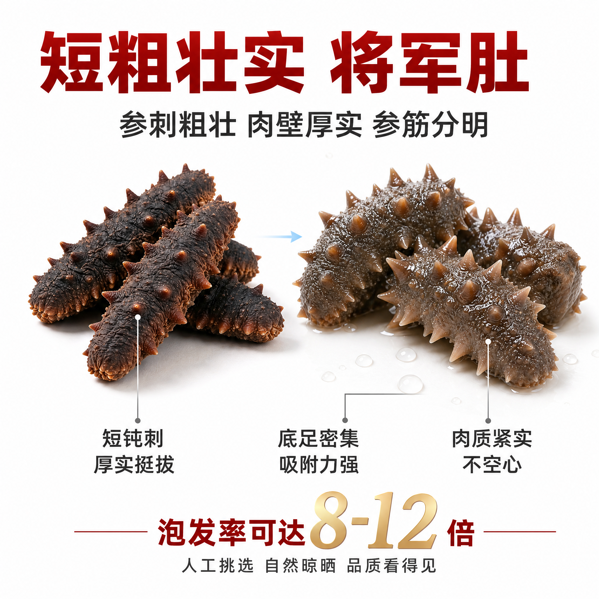 [主图-3] 大连辽刺参 外形特征 短粗壮实将军肚 肉质紧实。… - 图片创意预览