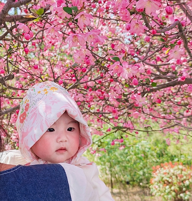 修掉娃娃下巴上遮挡脸部的白色衣服袖子，自然还原宝宝脸部和下巴区域，保持整体照片风格不变，保留粉色花树背景和其他元素