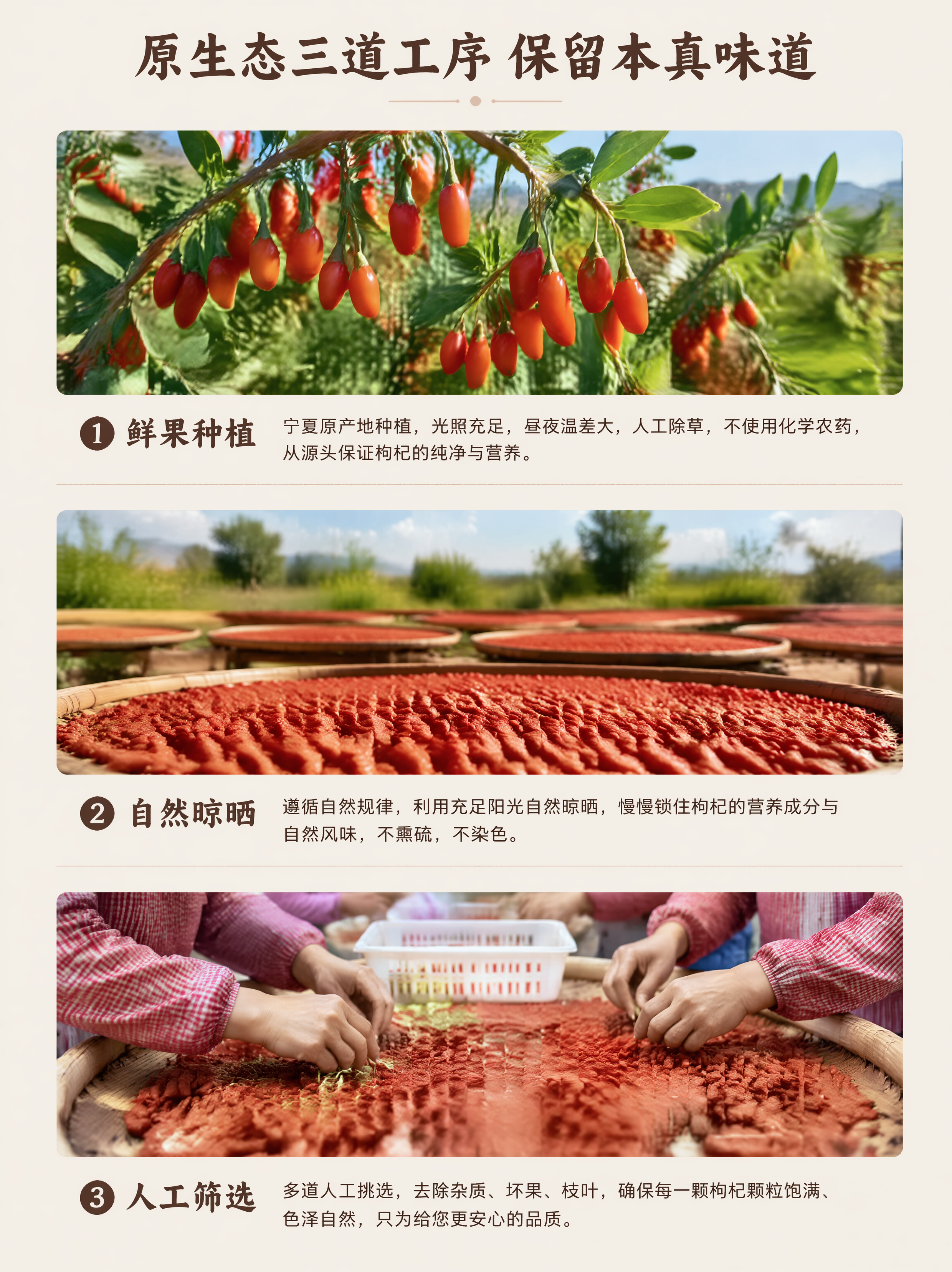 使用商品详情页技能根据商品图「图片1」「图片1」「图片1」「图… - 图片创意预览