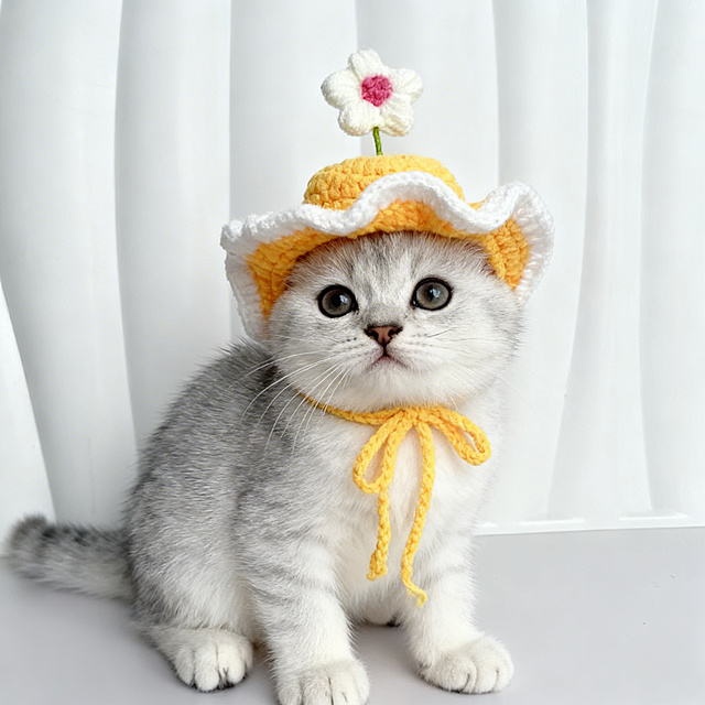 生成一只银渐层小猫戴着黄色底带白色花朵粉色花心钩织帽子的图片，保持帽子原有颜色和质感不变，可爱风格，高清真实质感