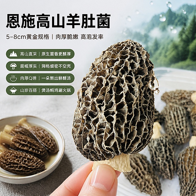 写实商业摄影风格，1:1 正方形画幅，4K 超高清分辨率1080×1080像素. 【产品类型名】恩施高山羊肚菌 100% 还原上传商品图的产品外形、包装、净含量，以【图1】为唯一商品主体来源：完整保留深灰褐蜂窝状菌帽、米白色短壮菌柄、网格纹理细密清晰、无碎朵空壳；手持特写姿态自然，透明塑料盒背景虚化处理；商品主体占比约70%，居中微仰视悬浮构图,轻微倾斜增强立体感与质感。场景采用「食材特写型」预设：主视觉为单颗羊肚菌特写（左前景），后方散落3–4颗同规格菌体作层次延伸；背景为浅灰麻布纹理台面，右上角虚化山林剪影与水滴元素暗示“高山山泉滋养”；左下角放置一小碟泡发后鲜嫩肥厚的羊肚菌（对比干品形态），强化“高泡发率”卖点; 一滴清水悬停于菌帽边缘，增强新鲜感与质感。光影：顶部柔光+侧前方45°补光,突出蜂窝凹凸纹理与菌柄饱满度；菌帽高光细腻，菌柄通透温润；景深控制为中景清晰、前后轻度虚化。配色：主色灰褐（菌帽）+ 米白（菌柄）+ 浅灰（背景）；点缀色为青绿（山林剪影）、水蓝（水滴反光），三级色彩协调高级. 文案（必须上图，清晰可读）："恩施高山羊肚菌"（主标题，≤10字, 加粗黑体, 居上1/4处）；"5–8cm黄金规格｜肉厚脆嫩 高泡发率"（副标题，≤16字, 中等字号）；卖点标签（4条，圆角矩形底+白字）：• 高山直采｜原生菌香更醇厚；• 菌帽厚实｜网格细密不空壳；• 肉厚Q弹｜一朵熬出鲜醇汤；• 山珍百搭｜煲汤焖鸡涮火锅。版式精美，留白舒适，文字不遮挡菌体关键纹理；安全边距充足；整体氛围天然、高级、可信,强转化导向，适配淘宝/天猫主图点击场景。