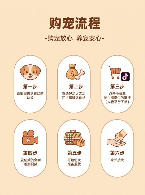 参考图片布局设计一张幼犬购宠流程图，暖米色背景，保持六个椭圆形步骤卡片布局，标题为'购宠流程'副标题为'-购宠放心 养宠安心-'，步骤内容更改为：第一步：直播间选到喜欢的幼犬，第二步：挑选好幼犬之后和预览效果