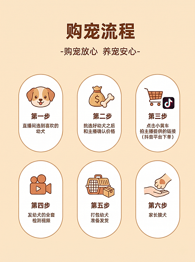 参考图片布局设计一张幼犬购宠流程图，暖米色背景，保持六个椭圆形步骤卡片布局，标题为'购宠流程'副标题为'-购宠放心 养宠安心-'，步骤内容更改为：第一步：直播间选到喜欢的幼犬，第二步：挑选好幼犬之后和主播确认价格，第三步：点击小黄车拍主播提供的链接（抖音平台下单），第四步：发幼犬的全套检测视频，第五步：打包幼犬准备发货，第六步：家长接犬，更换每个步骤对应的图标，不要和参考图完全一样，整体风格温馨治愈