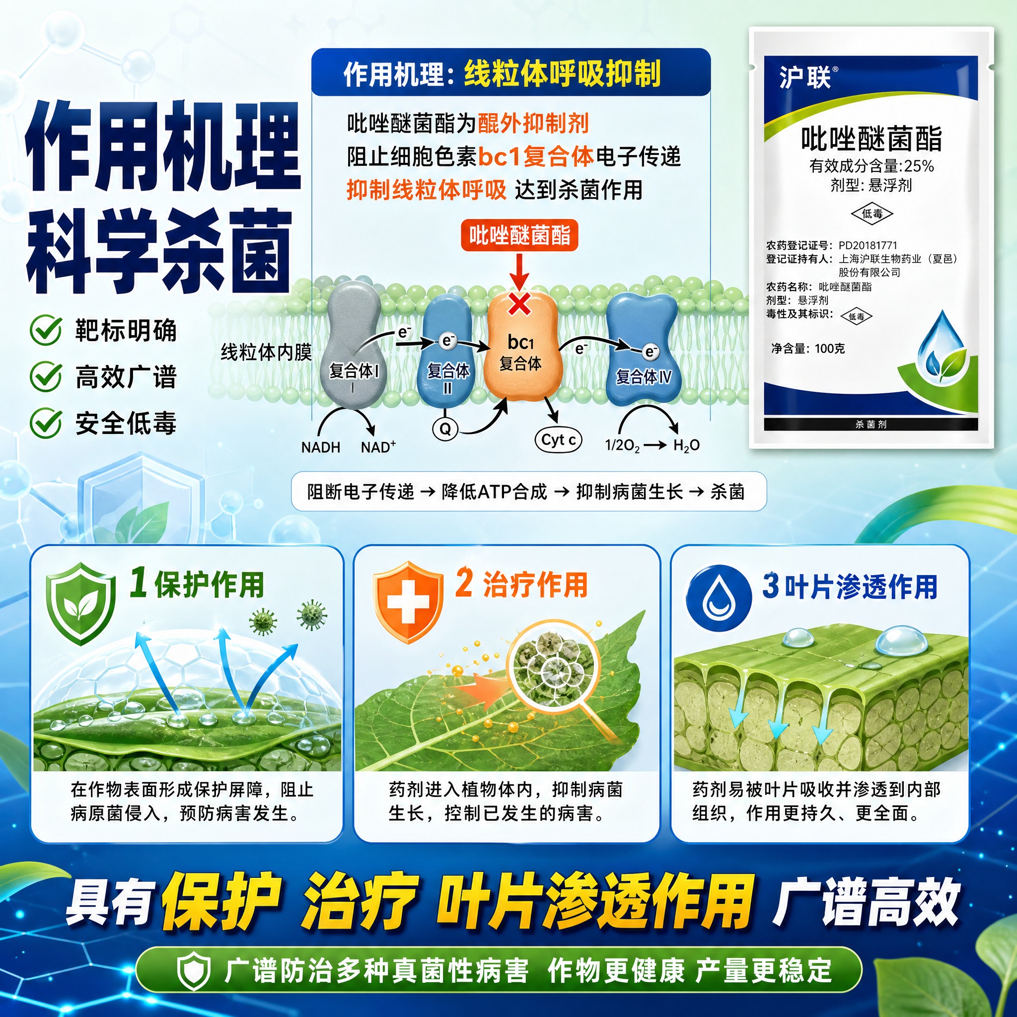 [主图-5] 吡唑醚菌酯产品性能与作用机理图，展示杀菌原理和产… - 图片创意预览