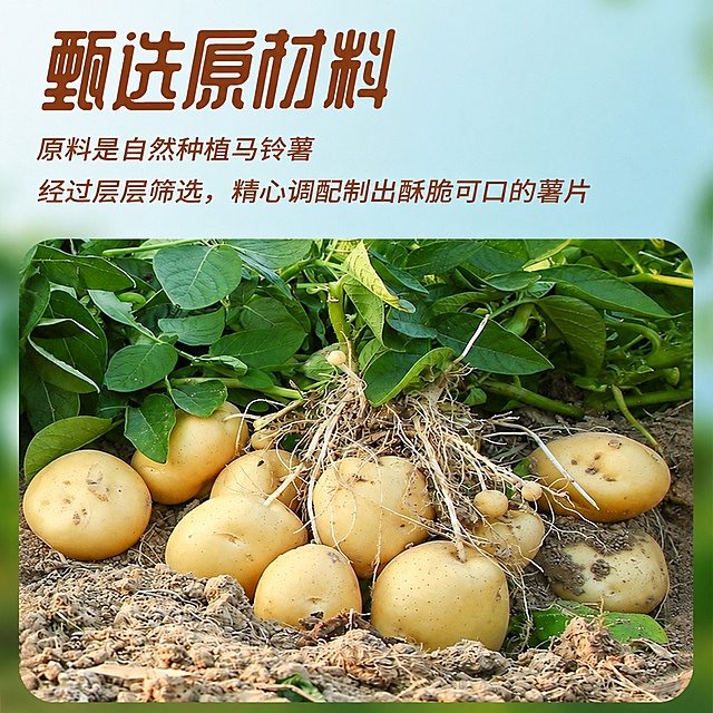 将这张图片处理为1:1比例的正方形图片，保留所有原文字、土豆和画面内容，不改变整体构图和内容
