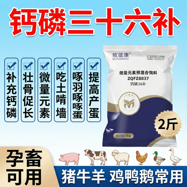 上部分些钙磷三十六补（红色描白加粗突出），包装靠右，左边文案依次横向写 补充钙磷，壮骨促长，微量元素，吃土啃墙，啄羽啄蛋，提高产蛋，每一个文案是一列，一共是6列，每个文案用蓝色系颜色框起来，前面加一个预览效果