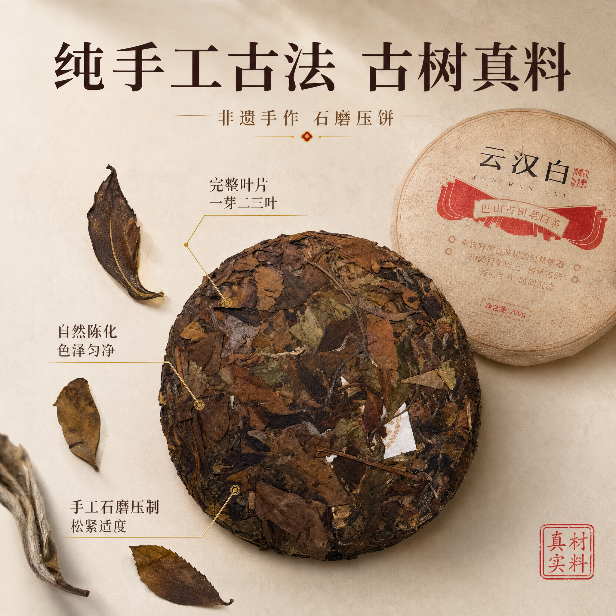[主图-3] 云汉白古树白茶细节微距图，核心任务是展示茶饼干茶… - 图片创意预览