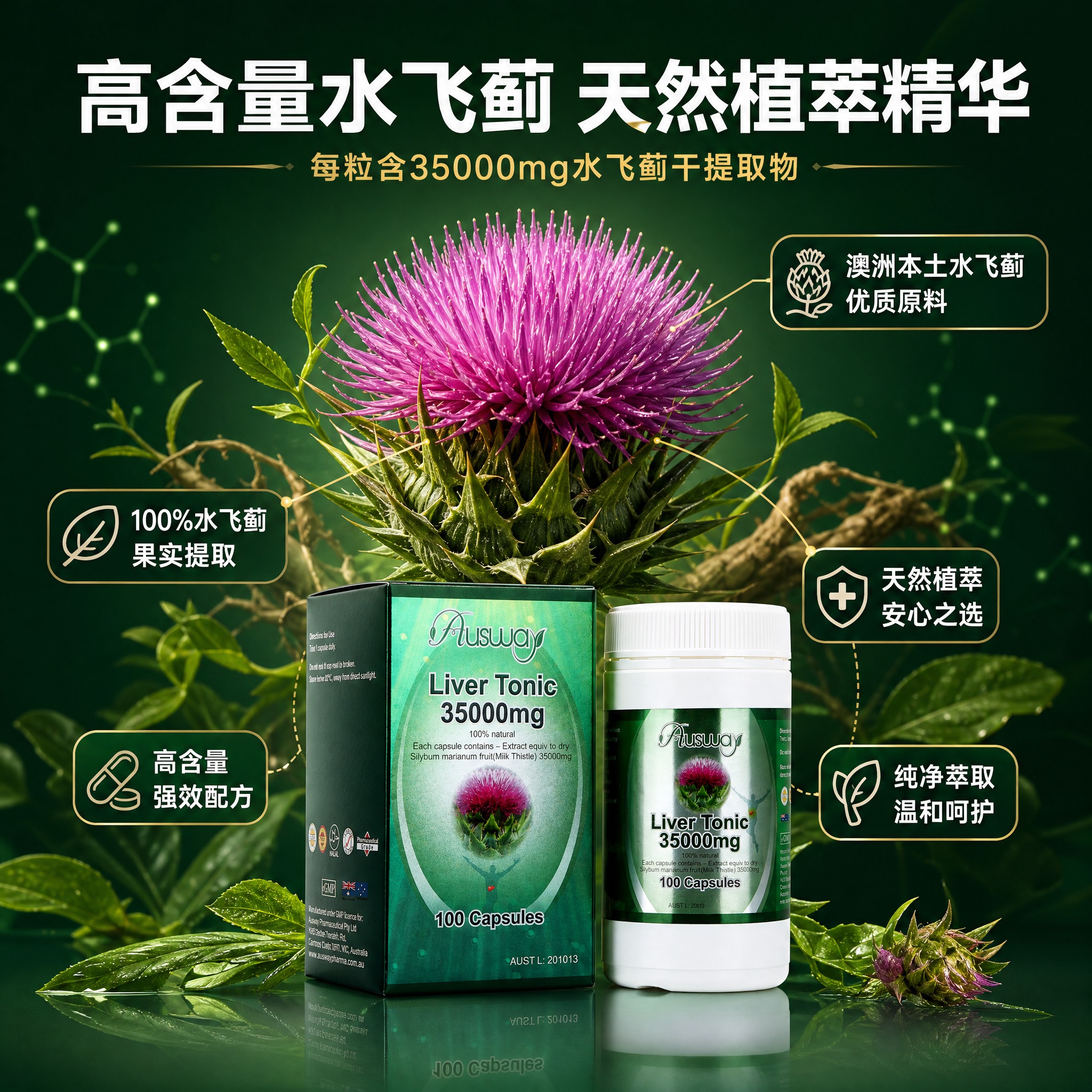 [主图-2] Ausway水飞蓟护肝胶囊35000mg 100… - 图片创意预览