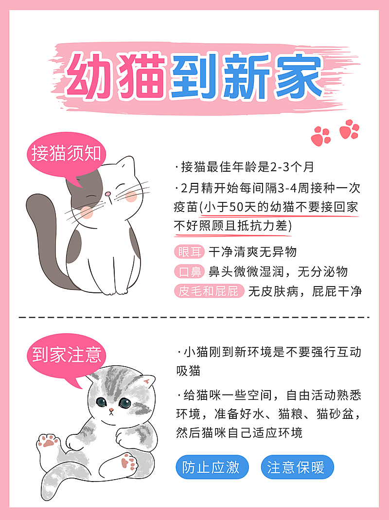 猫咪饲养知识分享宠物服务粉色系小红书封面