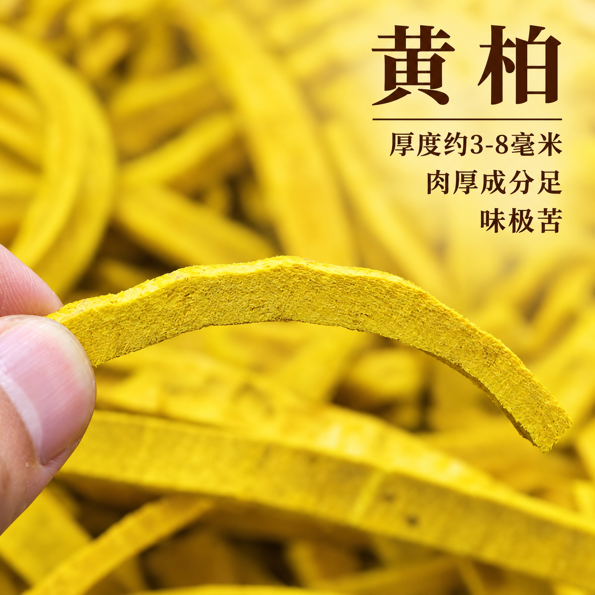 基于上传的黄柏素材进行主图创作，严格使用上传素材，完整保留原图… - 图片创意预览