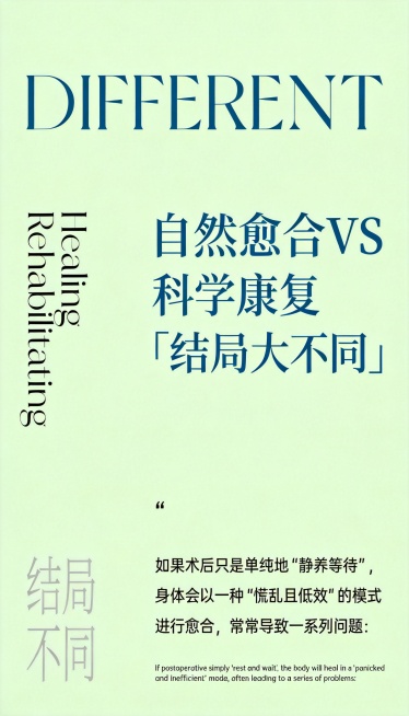 将图片调整为小红书9:16比例，改为极简浅绿风格，保留原有文字和图片内容预览效果