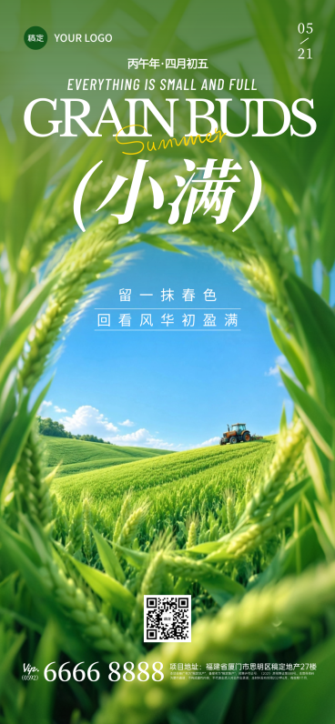 小满节气祝福问候清新摄影风麦田全屏海报预览效果