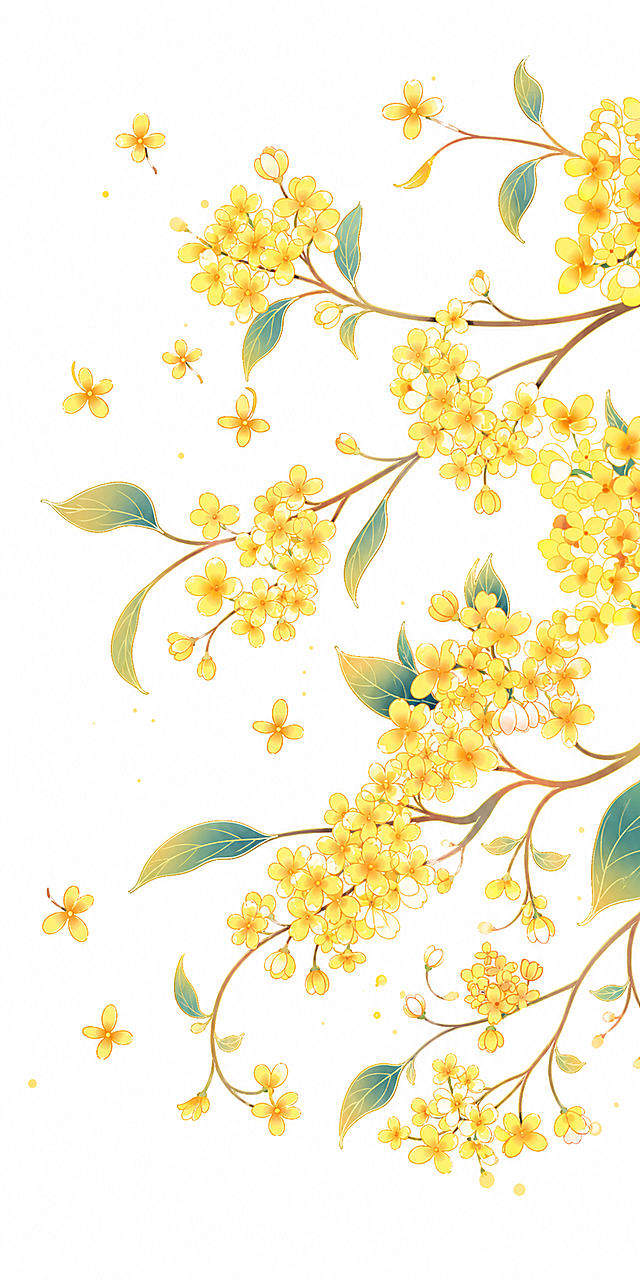 参考原图片国潮插画风格，拓展画面增加更多桂花数量，减少叶子颜色占比，保持白底背景，保留金色桂花与渐变绿叶的配色