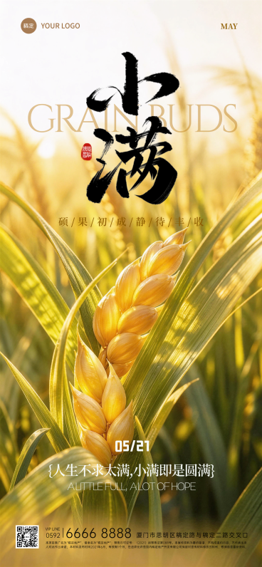 小满节气地产借势推广暖金麦穗风朋友圈全屏竖版海报预览效果
