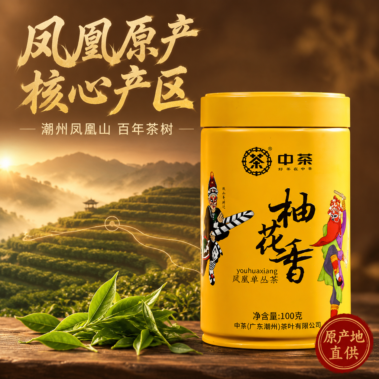 [主图-2 产地溯源] 中茶柚花香凤凰单丛茶产地溯源主图，建立… - 图片创意预览