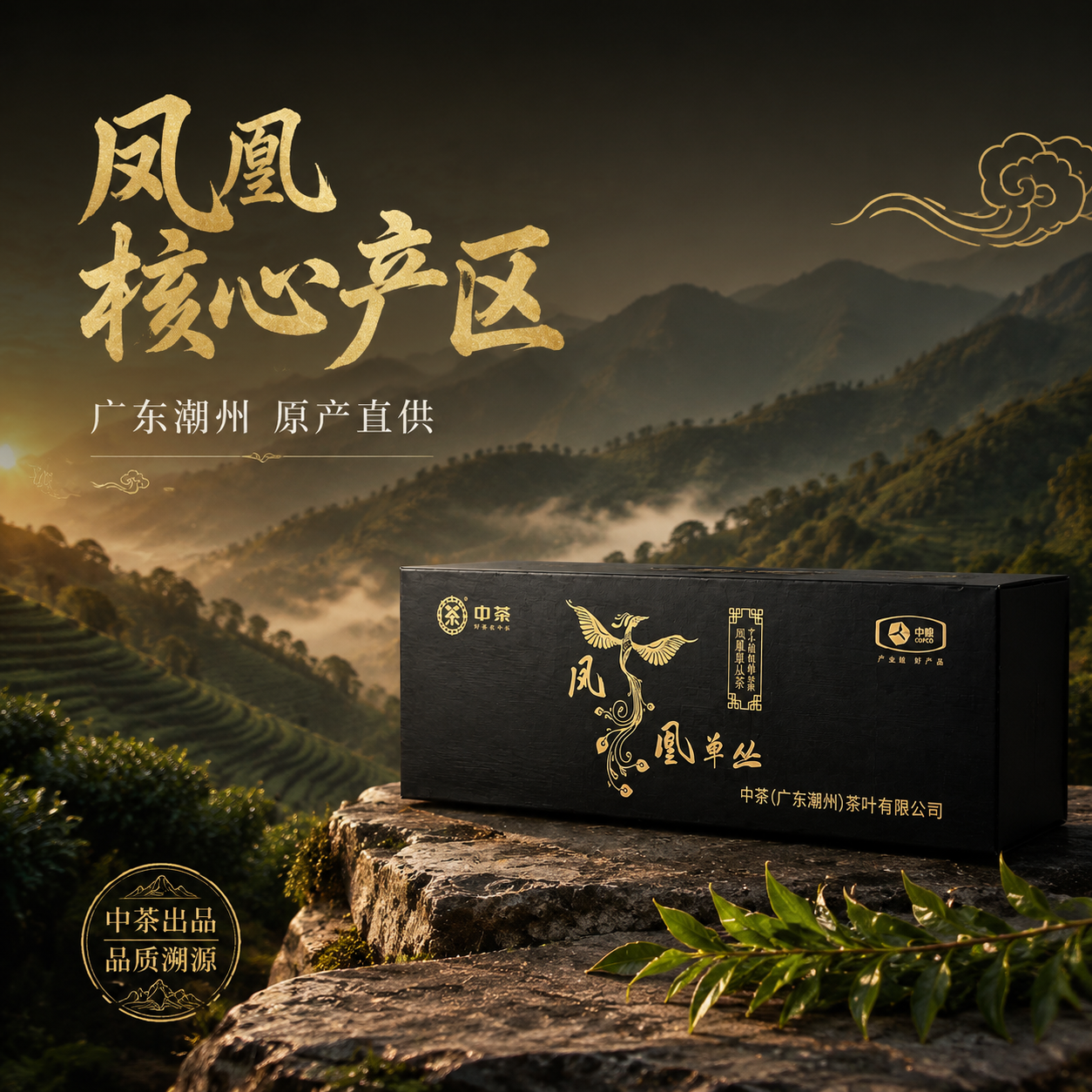 [主图-2] 抖音茶叶主图产地溯源篇，中茶凤凰单丛，主打潮州凤… - 图片创意预览