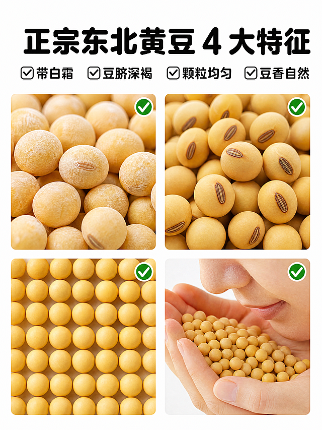[第3屏] 正宗黄豆特征图，展示正宗东北黄豆四大特征，电商详情页信任介绍。
[氛围/风格] 干净清爽，产品摄影风格，特征清晰突出，信息直观。
[元素布局] 纯白色背景，采用四宫格布局，每个格子展示一个特征加对应特写图：第一格带白霜的黄豆特写，第二格深褐色豆脐特写，第三格圆润均匀颗粒展示，第四格闻豆香的手部动作特写。每个格子右上角放置一个绿色对勾标识。顶部预留完整文字区域放标题。
[光影质感] 均匀柔和布光，每个格子黄豆特征清晰可见，绿色对勾颜色清新醒目，整体明亮干净，细节清晰。
[配色色系] 背景纯白色#ffffff，黄豆自然金黄色，豆脐深褐色，绿色对勾翠绿色，文字深黑色，配色干净清爽。
[视角构图] 正面平视四宫格均匀构图，每个格子大小一致，顶部完整留白。
[文字版式] 文字区域在顶部留白，主标题 "正宗东北黄豆 4 大特征✅带白霜 ✅豆脐深褐 ✅颗粒均匀 ✅豆香自然"，使用深黑色圆角粗体，字体沿用圆角黑体，纯色填充，字色仅深黑色，字号占画面高度7%-9%，居中对齐，不遮挡四宫格特征展示。
[比例分辨率] 4:3竖版，尺寸750x1000px，4K分辨率，文字清晰可辨。
[负向提示词] 格子大小不均，对勾位置错误，黄豆特征不清晰，文字错乱，水印，背景杂乱，画质模糊。