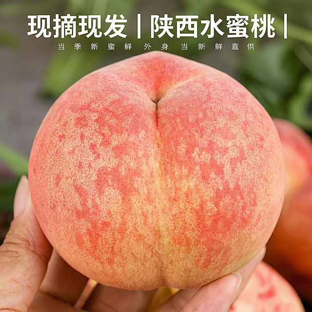 「图片1」「图片1」「图片1」「图片1」「图片1」，生成一套主图（5张），商品名称是陕西水蜜桃，卖点是核小肉厚、软甜爆汁，两种口感、一次满足现  摘现发适配抖音平台，主图比例为1:1