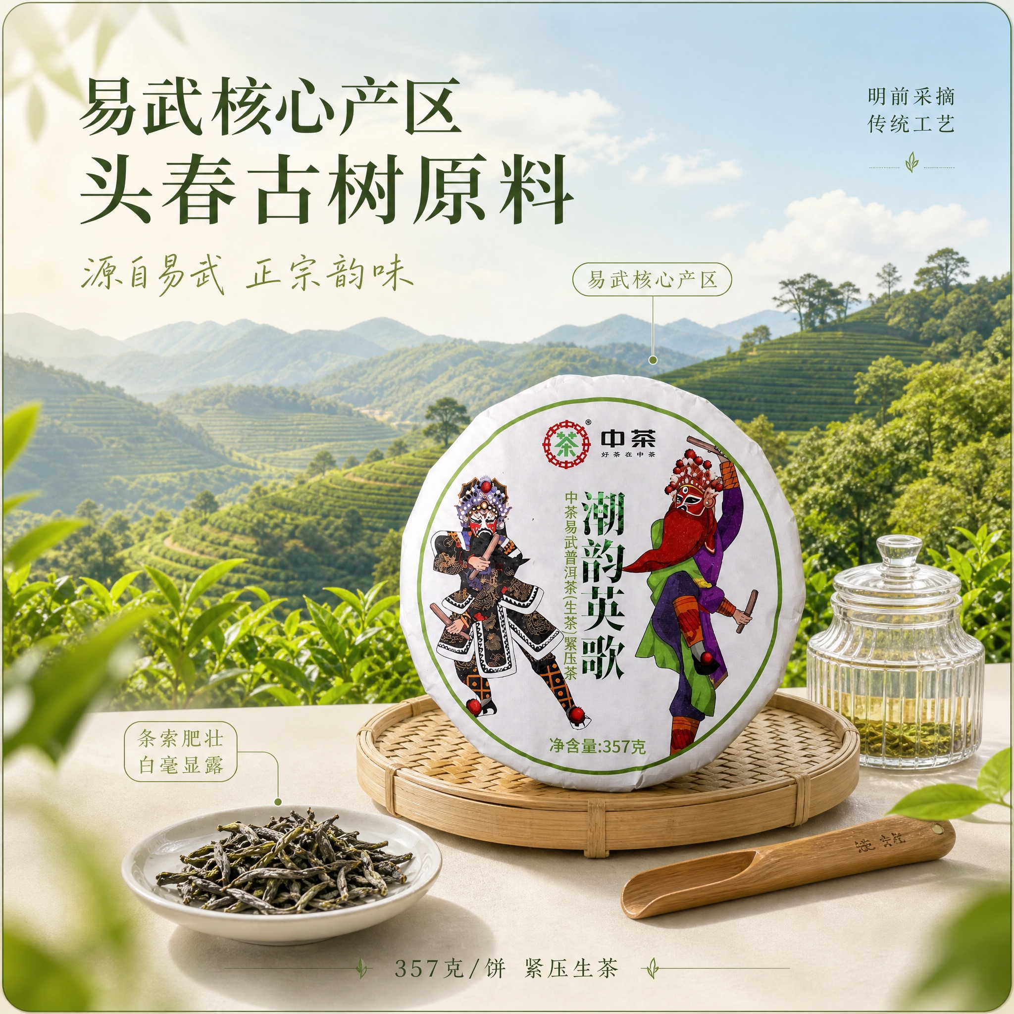 [主图-2] 核心亮点与产地溯源，清新风格展示易武产区背景与普… - 图片创意预览