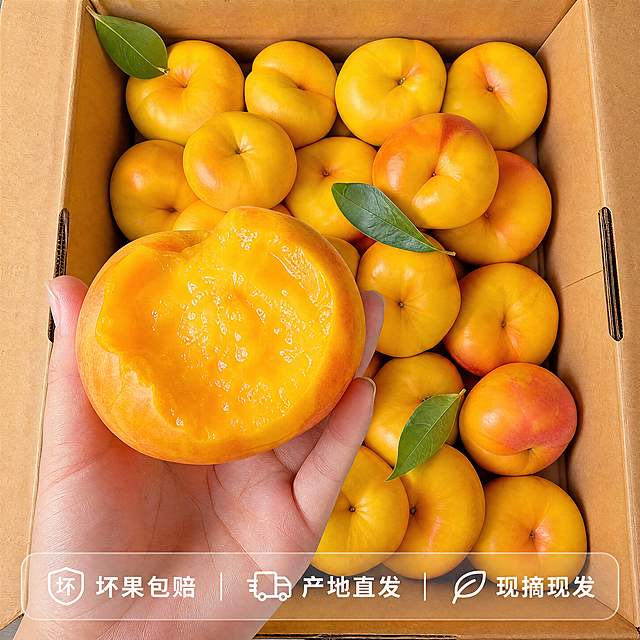 [主图-5] 黄金油蟠桃整箱礼盒展示，传递品质服务承诺
[氛围风格] 新鲜实惠，开箱展示，真实可靠
[画质] 商业摄影质感、光线柔和通透、产品清晰真实、画面干净高级
[元素] 打开的礼盒装黄金油蟠桃，整箱整齐码放新鲜果实，前景手拿出一颗咬开的蟠桃展示果肉，果实都带着新鲜绿叶，保持蟠桃外观颜色与输入产品图一致，杜绝变形色差，主体占比约75%，满屏无边框
[光影] 室内柔和自然光，均匀照亮整箱果实，色泽自然鲜亮
[配色] 牛皮纸礼盒色衬托果实金黄橙红，整体温暖自然
[视角构图] 俯视开箱视角，整体和细节结合，清晰展示整箱产品状态
[文字版式] 画面底部设置半透明悬浮条，横向排列服务承诺「坏果包赔」「产地直发」「现摘现发」，白色文字清晰排布，不遮挡产品主体
[比例分辨率] 1:1 比例，4k 分辨率，文字清晰锐利，画面超高清
[负向提示词] 变形，水印，文字错乱，产品图模糊，背景杂乱