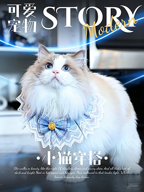 养宠铲屎官｜朋友圈穿搭种草｜小红书ins 风猫咪竖版海报｜蕾丝领饰打造布偶精致氛围感