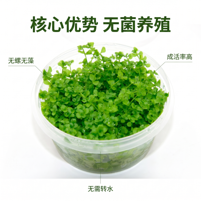 确认预览效果