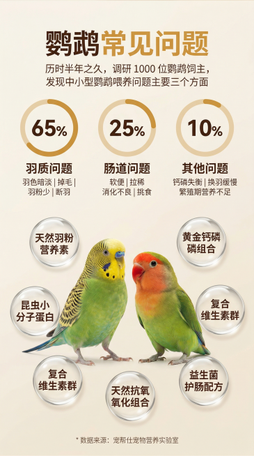 高端温馨宠物商业摄影风格，柔和自然的影棚光影，画面干净通透，细节拉满。画面顶部居中排版：超大号加粗深暖棕主标题 “鹦鹉常见问题”，其中 “常见问题” 为焦糖黄字体；标题下方居中放置浅暖灰细体副标题 “预览效果