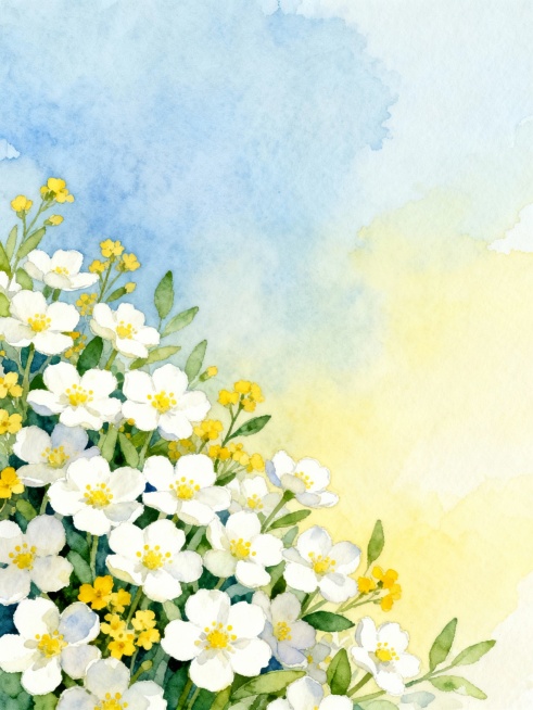 柔和水彩风格花卉插画，画面左下角以密集的白色五瓣小花为主体，点缀黄色小花和绿色叶片，花朵形态饱满，花瓣边缘柔和，花蕊呈黄色点状。背景采用淡蓝与淡黄色的渐变晕染，营造出清新自然、宁静柔和的氛围，整体构图偏向角落聚焦，留白充足，色彩明快和谐，笔触细腻且富有水分感。预览效果