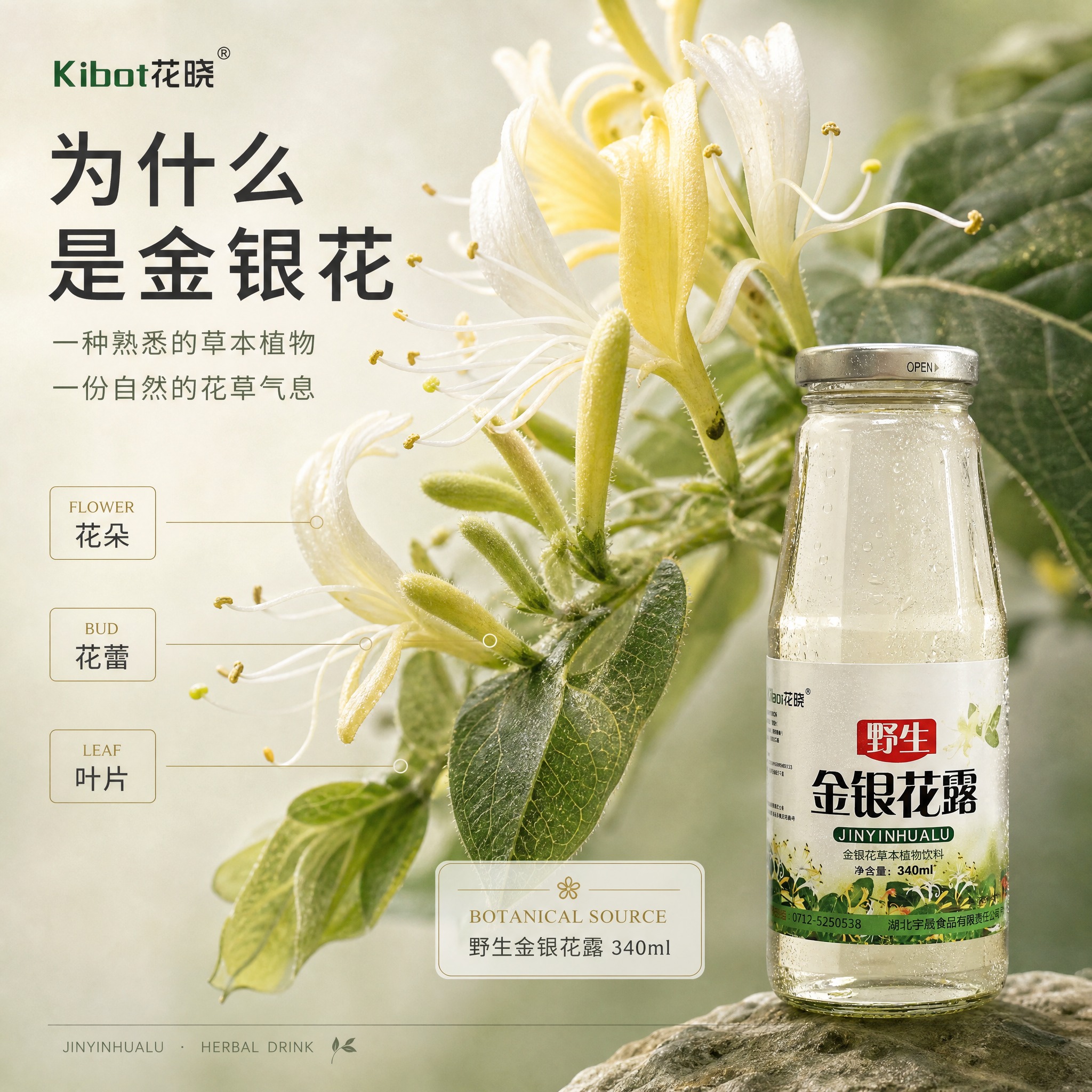 [主图-4] 原料微距主题主图，金银花花朵微距+产品瓶，高端植… - 图片创意预览